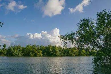 2025篮球赛季亮点盘点，精彩不断，2021-2022篮球