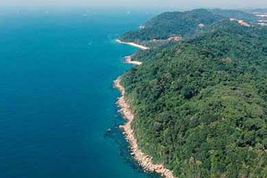 Aliou Drame在2024年巴黎残奥会反曲弓男子复合项目中参赛，东京奥运反曲弓比赛